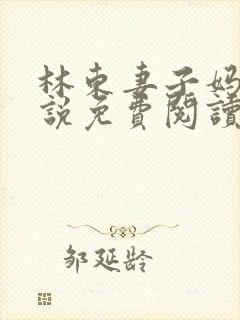 林东妻子妈妈小说免费阅读