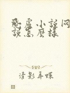 飞卢小说网写小说怎么样