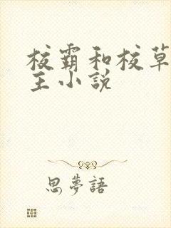 校霸和校草双男主小说