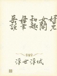 岳母和女婿的小说笔趣阁免费阅读