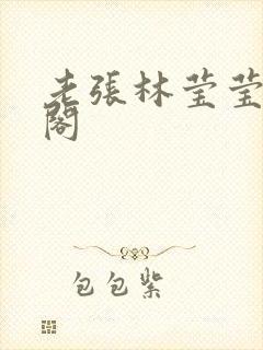 老张林莹莹笔趣阁