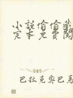 小说偷偷藏不住完本免费阅读