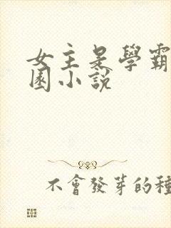 女主是学霸的校园小说