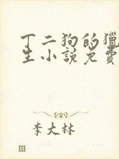 丁二狗的猎艳人生小说免费全文下载