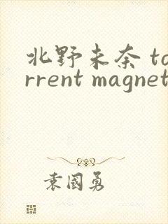 北野未奈 torrent magnet封面