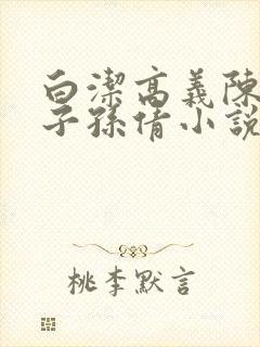 白洁高义陈三东子孙倩小说封面