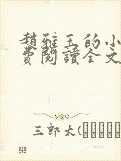 赵雅玉的小说免费阅读全文最新章节封面