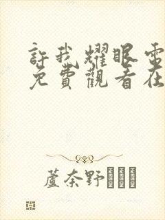 许我耀眼电视剧免费观看在线封面