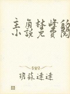 主角林峰的官场小说免费阅读无弹窗