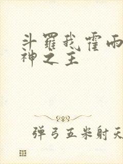 斗罗我霍雨浩精神之主封面