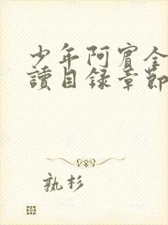 少年阿宾全文阅读目录章节视频