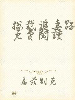 总裁追妻路漫漫免费阅读