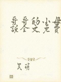 哥哥的小母狗小说全文免费阅读笔趣阁