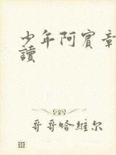 少年阿宾章节阅读