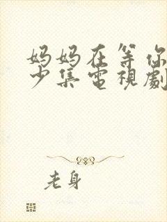 妈妈在等你有多少集电视剧封面