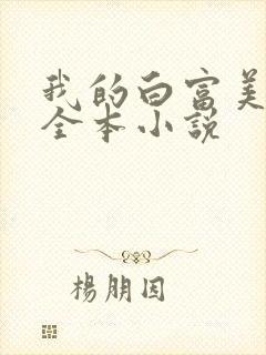 我的白富美老婆全本小说