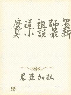 魔道祖师墨香铜臭小说最新章节阅