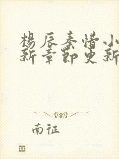 杨辰秦惜小说最新章节更新