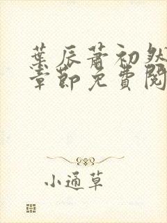 叶辰萧初然全集章节免费阅读无弹窗小说封面