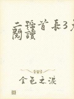 二号首长3免费阅读
