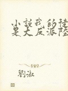 小说我的徒弟都是大反派陆州完结封面