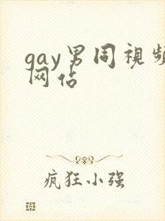 gay男同视频网站封面