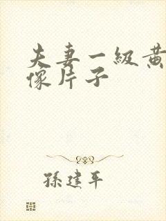 夫妻一级黄色录像片子