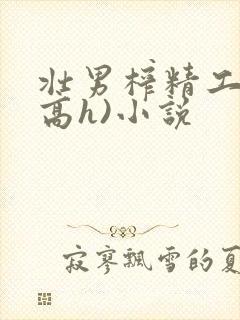 壮男榨精工厂(高h)小说