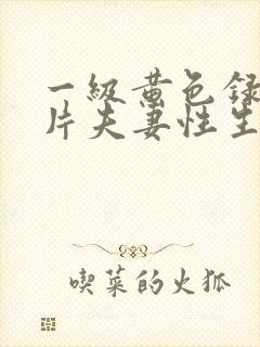 一级黄色录像影片夫妻性生活