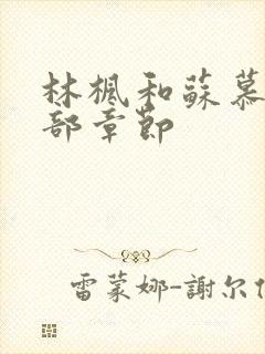 林枫和苏慕白全部章节