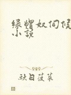 绿帽奴伺候老婆小说封面