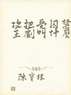 攻把受囚禁双男主剧叫什么名