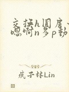 交换h圆房～h嗯啊n多p动漫