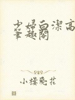 少妇白洁高义传笔趣阁封面