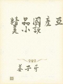 精品国产亚洲欧美小说