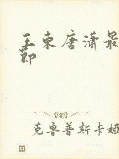 王东唐潇最新章节