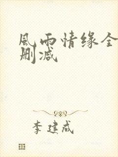 风雨情缘全文无删减
