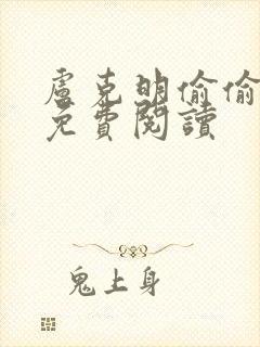 卢克明偷偷一笑免费阅读封面