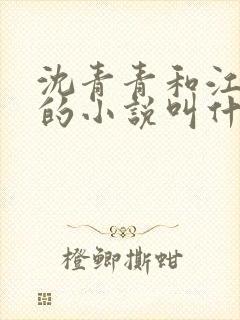 沈青青和江致勋的小说叫什么名字封面