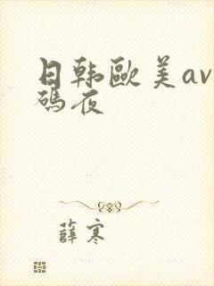 日韩欧美av乱码夜