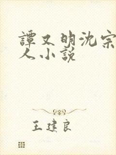 谭又明沈宗年同人小说