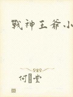 战神王爷小医妃封面