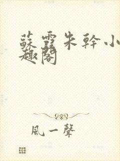 苏霞朱干小说笔趣阁