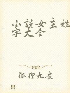 小说女主姓江名字大全封面