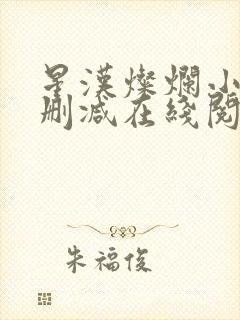 星汉灿烂小说无删减在线阅读