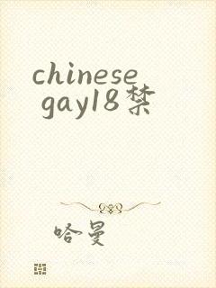 chinese gay18禁