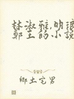 林淑雅,明琅,郑王的小说