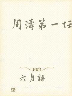 周涛第一任丈夫