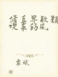 修真界败类大漠吹来的风