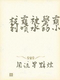 校霸被学霸调教到喷水的小说